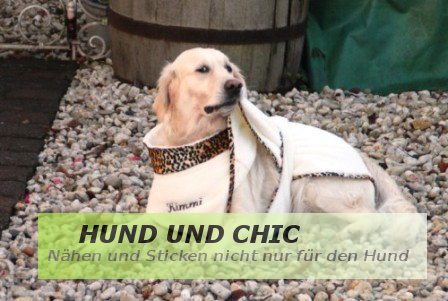 Hund und Chic